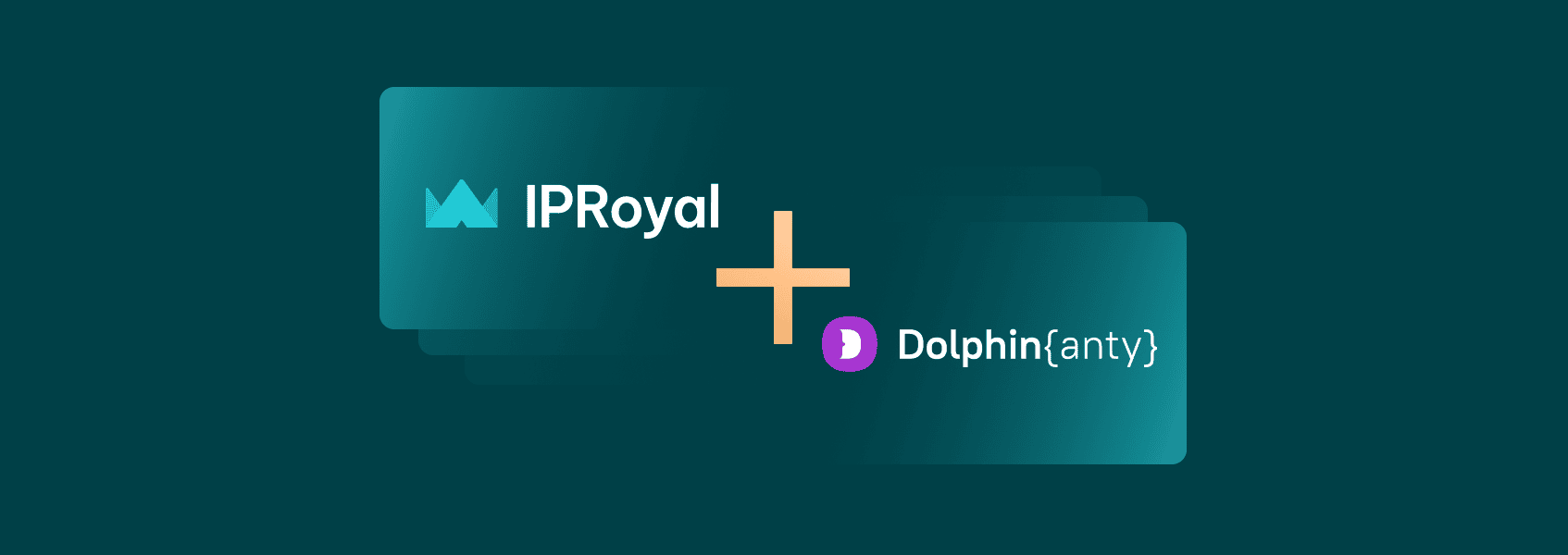 The Ultimate Guide to Setting Up a Dolphin Proxy for Multiple Browser Profiles