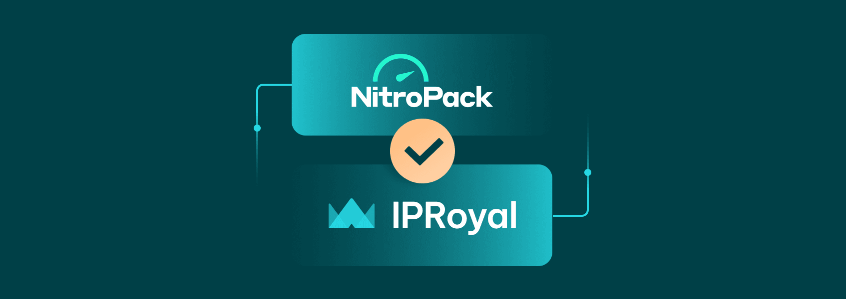 Nitropack Case Study: Boosting Website Performance with IPRoyal&lsquo;s Proxies